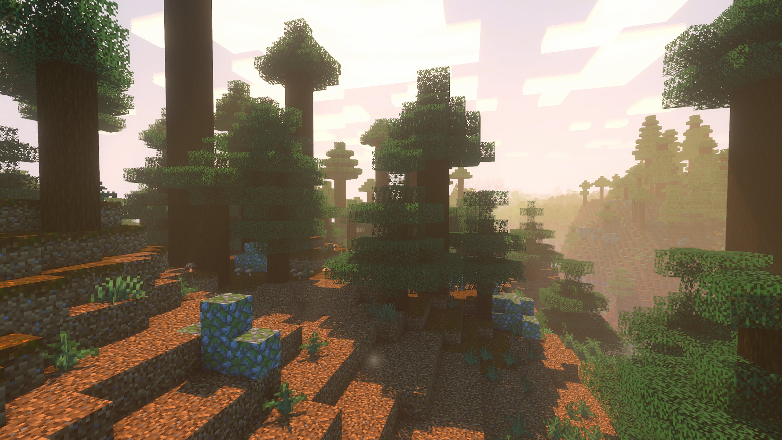 A mega taiga biome in Minecraft with Super Duper Vanilla Shaders installed.