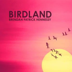 Birdland boxart