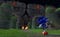 Sonic and the Black Knight screenshot