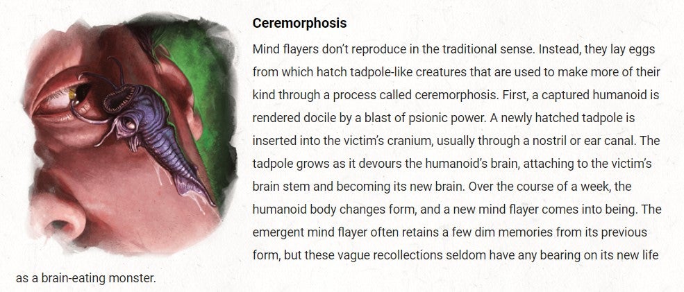 A excerpt from a Dungeons &amp; Dragons book with a small illustration showing a gigantic, cockroach-sized tadpole about to eat its way into someone&rsquo;s eye. Wonderful.