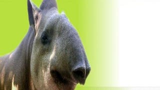Splash Damage Help Save The Tapirs