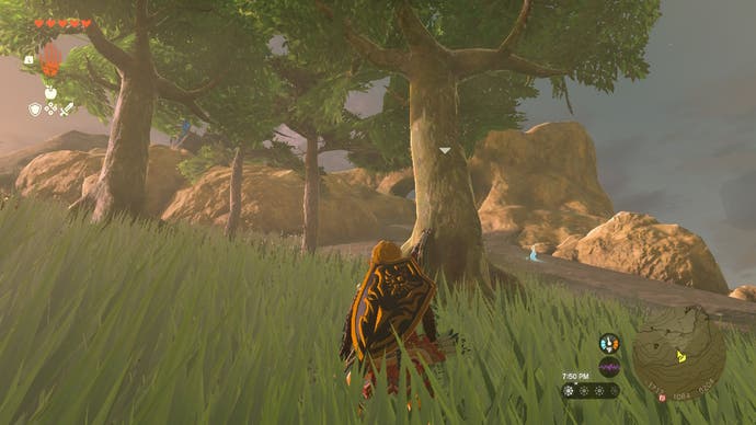 Link approaching two seemingly normal trees that can actually attack players in Tears of the Kingdom.