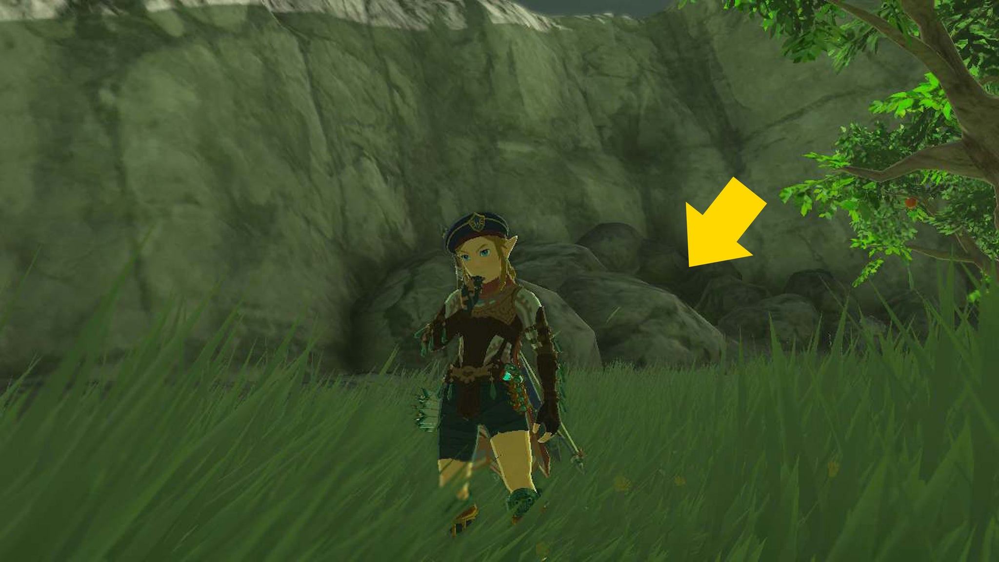 How to get the Shrine Sensor in Zelda: Tears of the Kingdom - 5