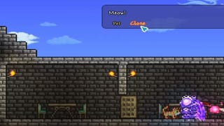 Terraria: How to get a Cat License
