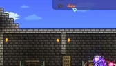 Terraria: How to get a Cat License