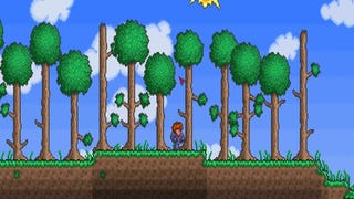 What's This Now? Terraria