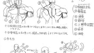 The anatomy of a Street Fighter