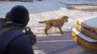 Dog takes a squat in The Division because that's what dogs do
