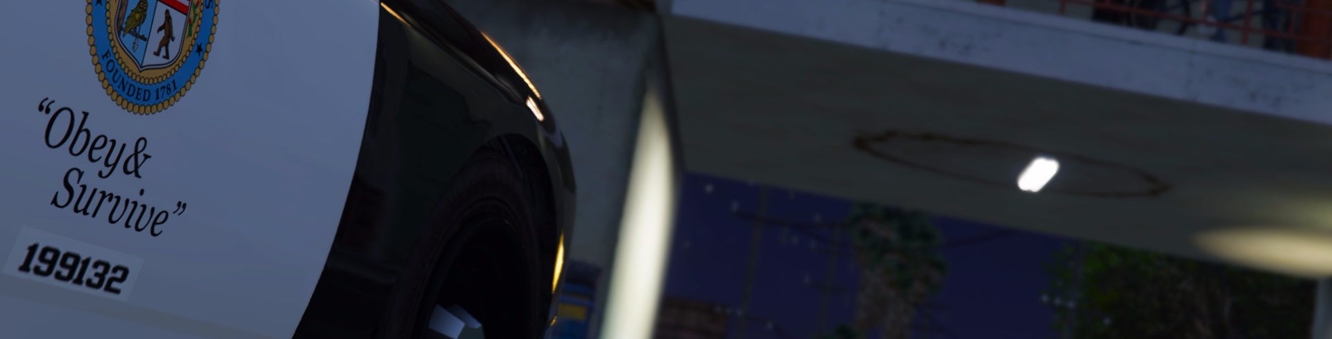 The cops and roleplayers of GTA Online