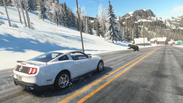 A white car speeds down a winter road as a bear leaps out into the road. - 1
