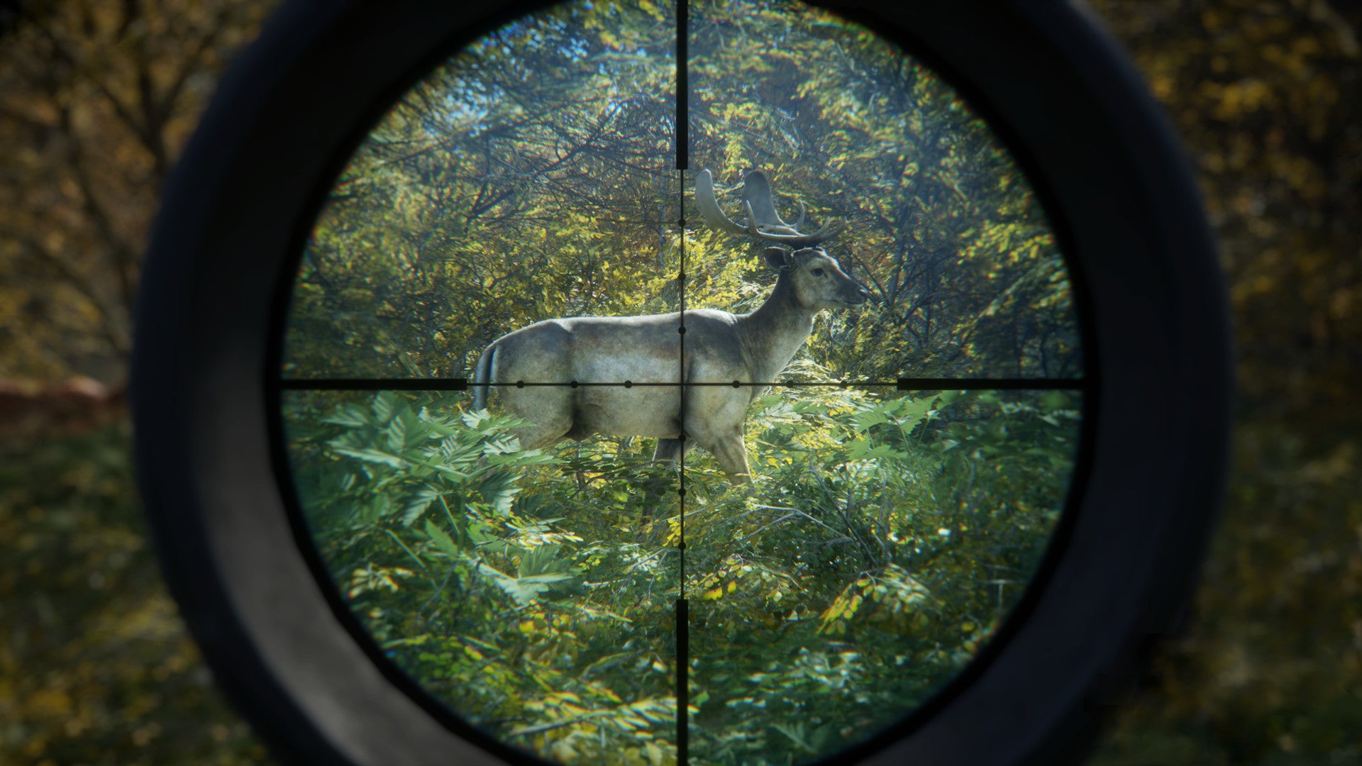 A crosshair hovers over a deer&rsquo;s heart in theHunter: Call Of The Wild