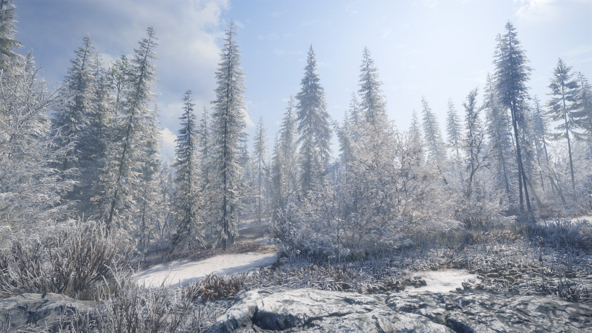 Photographing invisible animals in theHunter: Call of the Wild