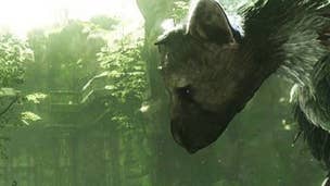Sony waiting for right time to re-introduce The Last Guardian, Yoshida confirms