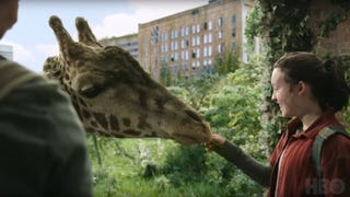 Fani nie mogą uwierzyć, że żyrafa w „The Last of Us” była prawdziwa