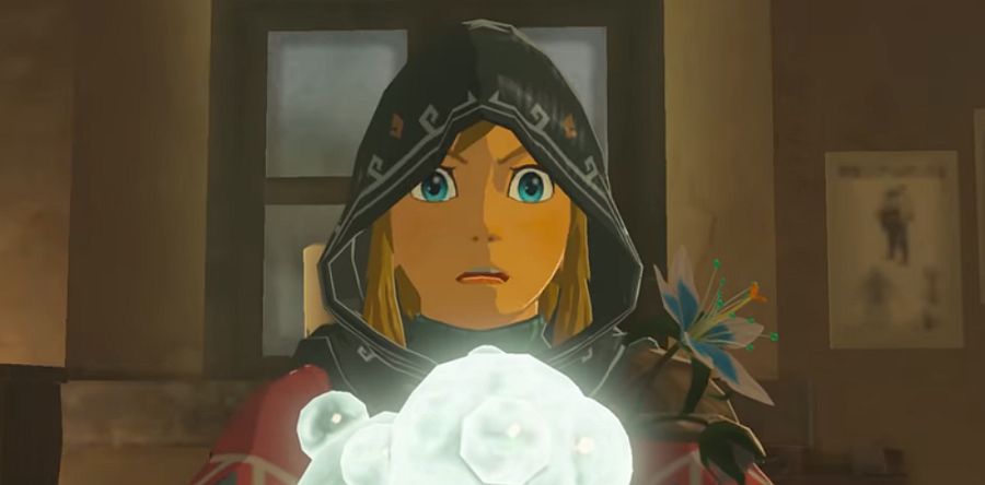 A Breath of the Wild guide ended up in the new novel from The Boy in the Striped Pyjamas author