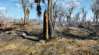 How realistic are the post-apocalyptic landscapes of video games?