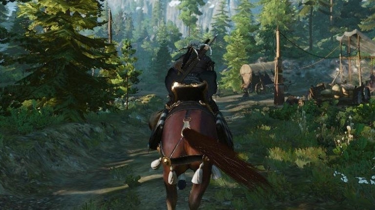 The Witcher 3 herb locations explained