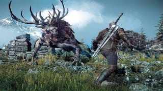 The Witcher 3 - Velen: Secondary Quests en Witcher Contracts
