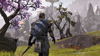 The Elder Scrolls Online veteran content, PvP campaigns detailed