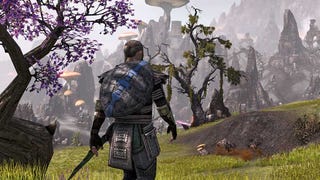 The Elder Scrolls Online: Skyrim skin can't make up for MMORPG mediocrities