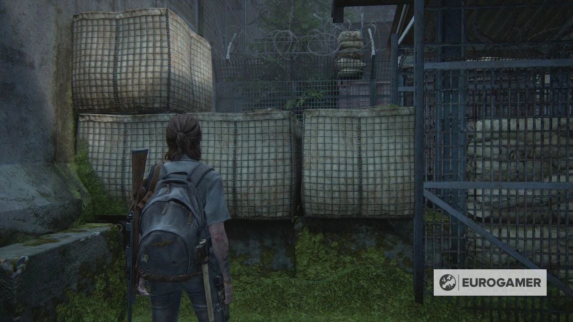 The Last of Us Part 2 - The Seraphites: All items, Rope