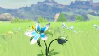 Zelda: Breath of the Wild is Nintendo's last Wii U game, not that this should surprise you