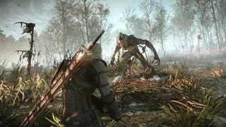 The Witcher 3: Velen (No Man's Land) secondary quests