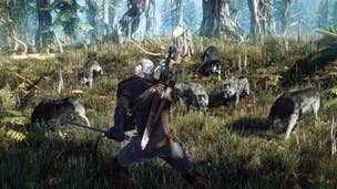 Will Witcher 3 look very different on PS4 and Xbox One? CD Projekt RED isn't so sure