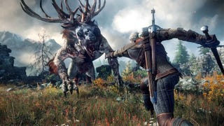 The Witcher 3: Mysterious Tracks Witcher Contract