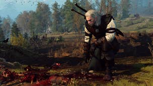 The Witcher 3: Hunting A Witch walkthrough