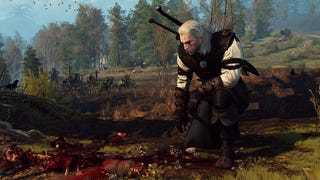 The Witcher 3: Hunting A Witch