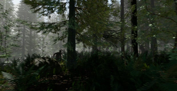 The Forest | Rock Paper Shotgun