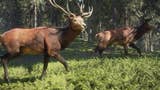 theHunter: Call of the Wild - Test