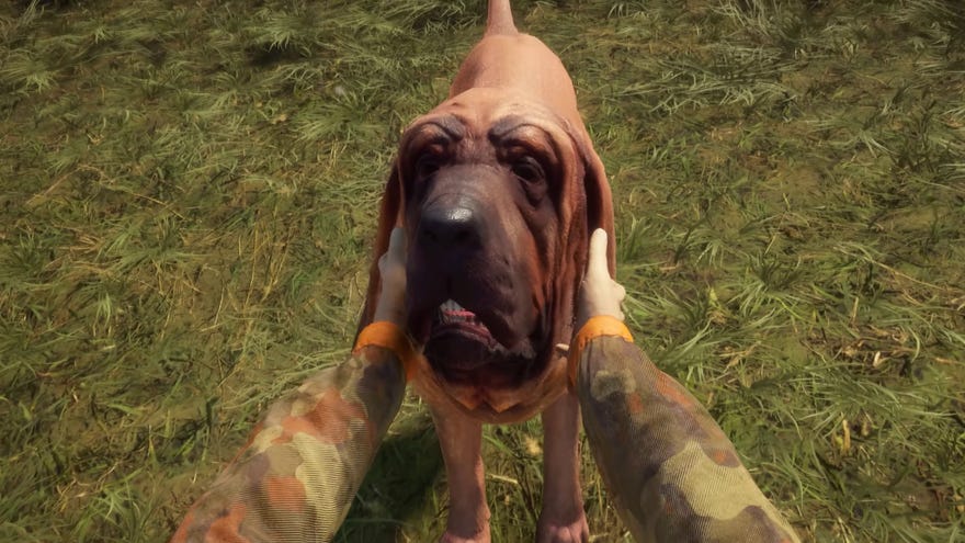 Petting a dog in TheHunter: Call Of The Wild’s Bloodhound DLC.