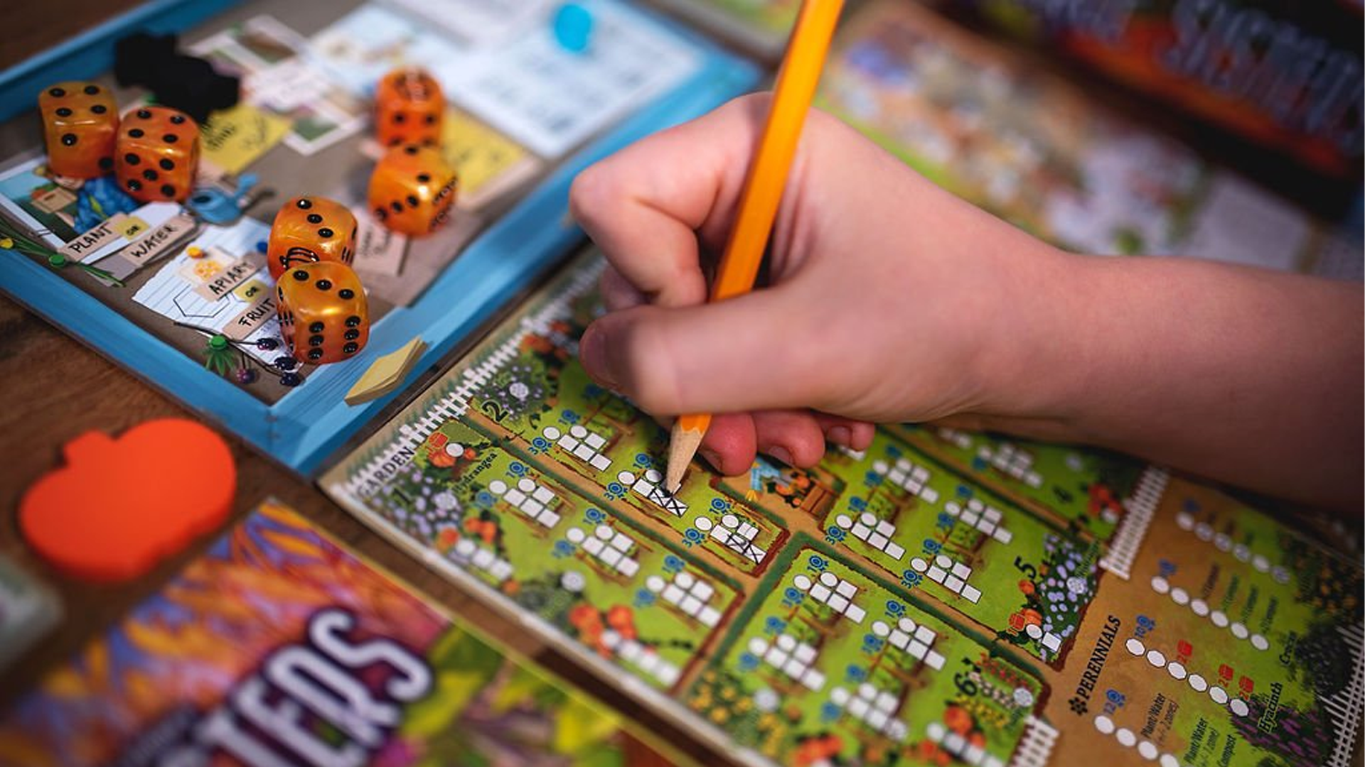 7 cosy board games to warm you up this winter | Dicebreaker