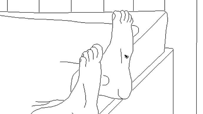 A alert landing connected immoderate feet successful Time Flies.