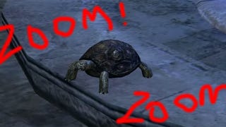 Path Of Exile Teases New Pets, Tortoise OP Speed Demon