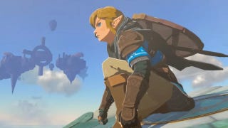 Image showing The Legend of Zelda: Tears of the Kingdom main character Link looking into the distance.