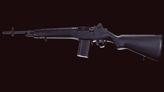 A DMR14 in Warzone