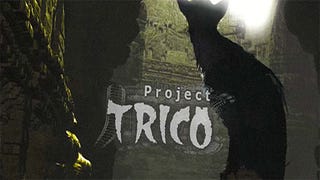 Leaked Trico footage is real, talk casts doubt on E3 reveal