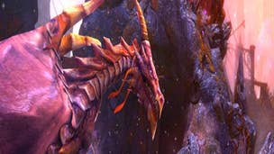 Trine 2: Director's Cut DLC Magic Mayhem release "still a possibility, but not a likelihood"