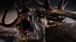 The Witcher 3 Bestiary List: Every Monster Weakness