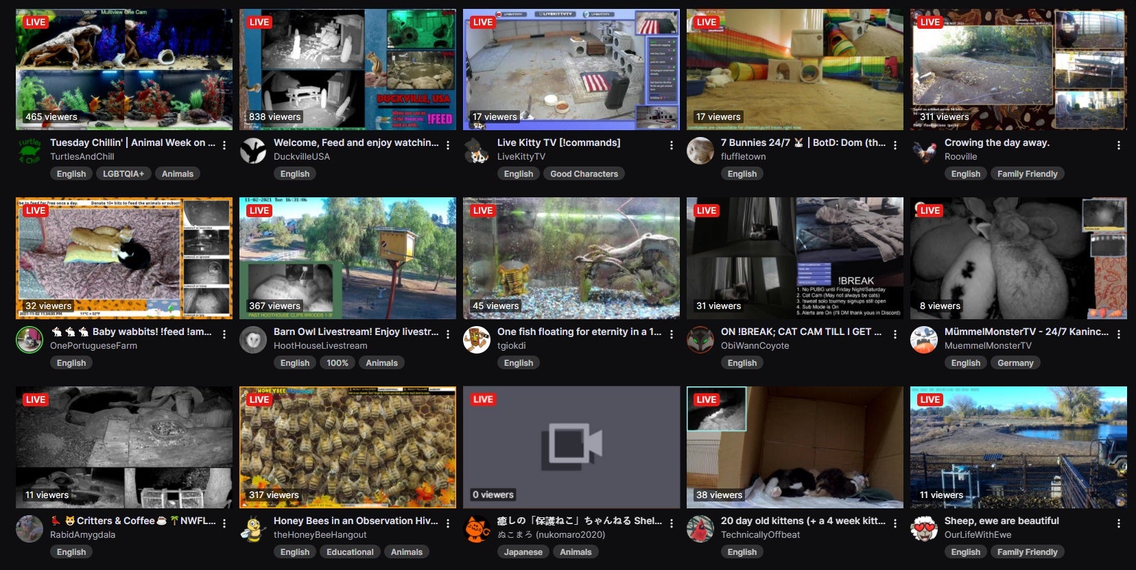 An image showing the Animals category on Twitch, with several livestreams visible including those featuring ducks, bees, cats, and much more.