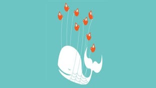 Wholesale Fail Whale: Developer's Twitters