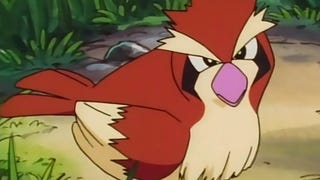 Un allenatore di Pokémon GO ha catturato Pidgey mentre sua moglie stava per partorire