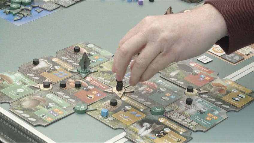 Board spill of Undergrove, a new board game by Elizabeth Hargrave and Mark Wootton