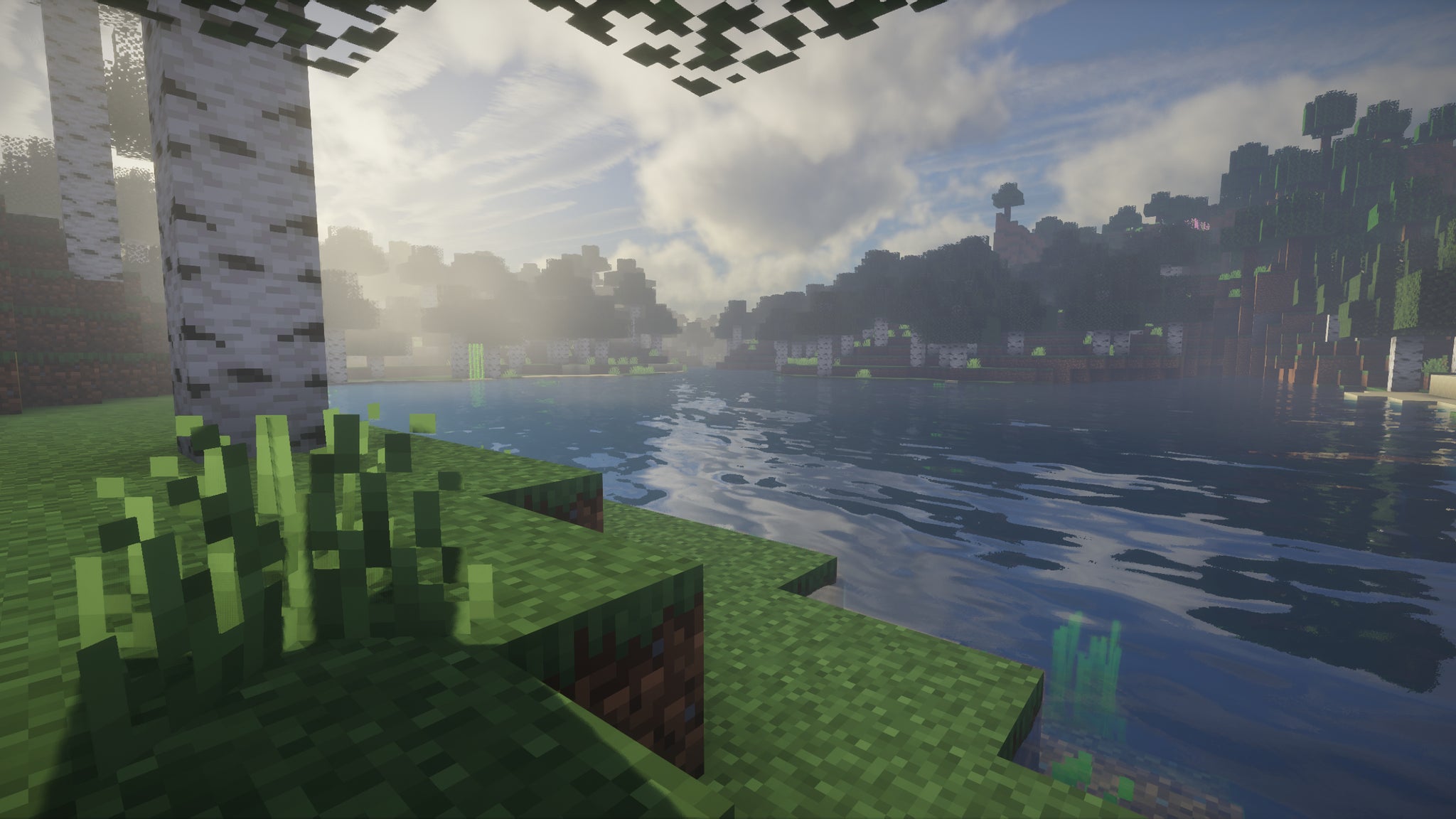 A close-up of some grass and a birch tree beside a river in Minecraft. - 83