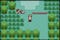 Pokémon Emerald screenshot