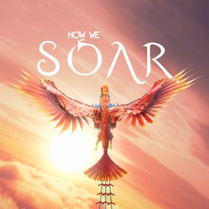Cover von How We Soar