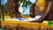 Sonic Boom: Shattered Crystal screenshot